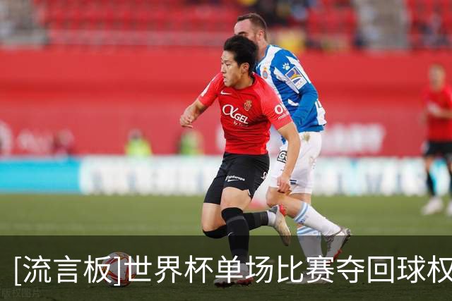[流言板]世界杯单场比赛夺回球权次数最多的球员：本坦库尔两度上榜